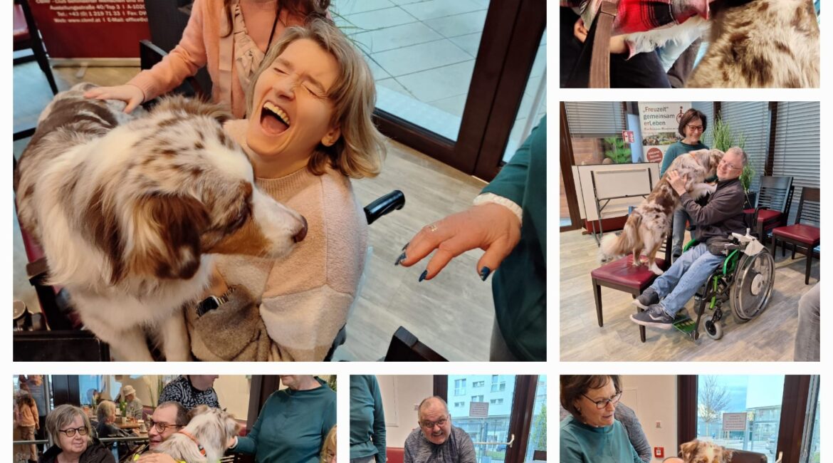 Spendenaktion für den CBMF 2023